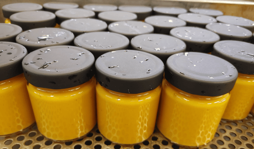 Így lettünk homoktövis ültetvény tulajdonosok – az ESBANA sztori-üvegek