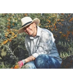 Elstartolt a csodanövény-szüret: külföldön is díjazták a vidéki pár gyógyító finomságait