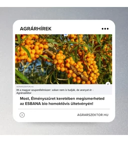 Itt a magyar szuperélelmiszer: sokan nem is tudják, de aranyat ér